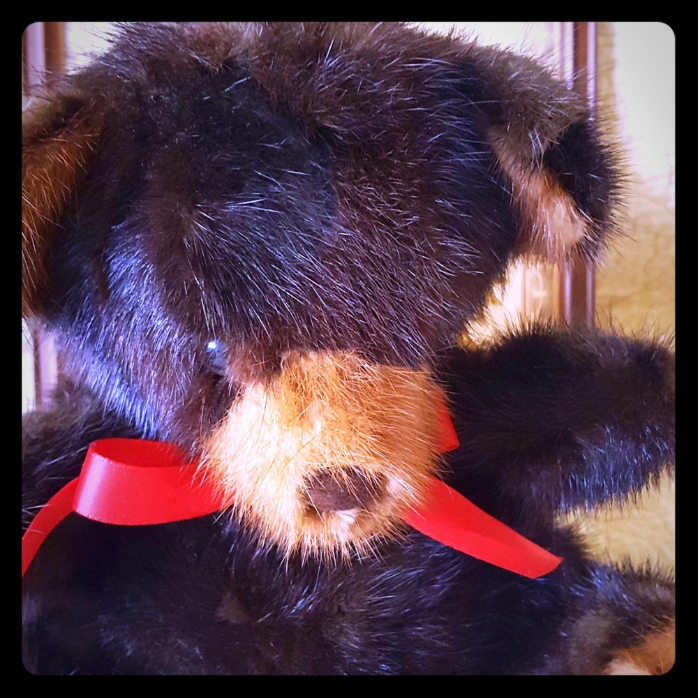 Rare Bear